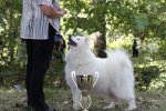 Best in Show Vétéran Romorantin 2015